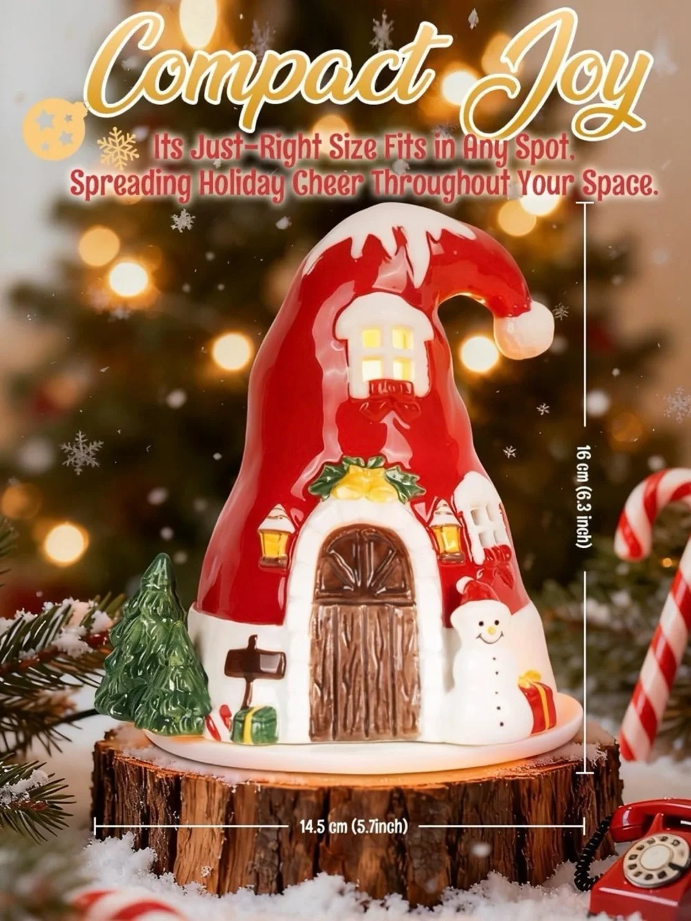 N/A santa hat
